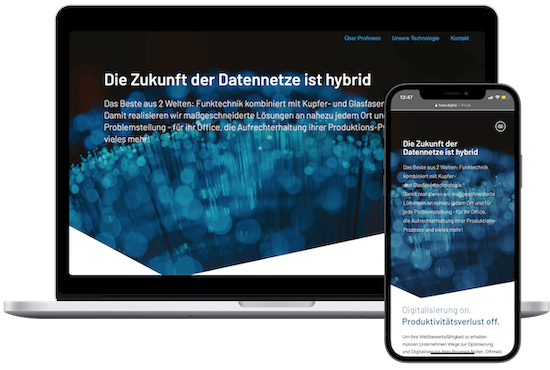 Profineon_Webseite_Karlsbad Kopie (1) Webdesign pfalz
