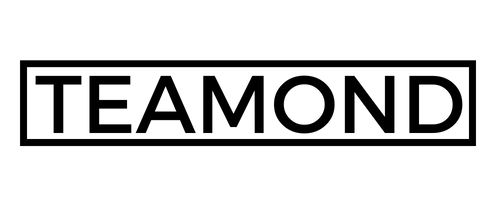 Logo_TEAMOND (500 × 250 px)_transparent Logo Teamond